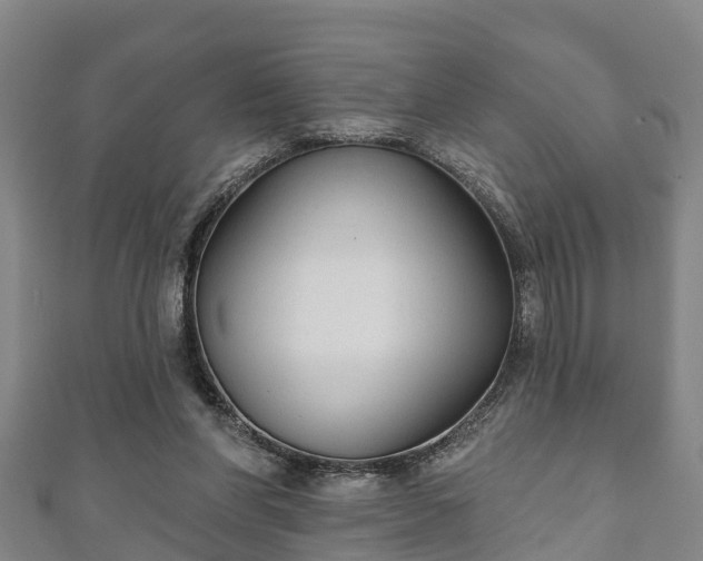 X0000111590206200907231221