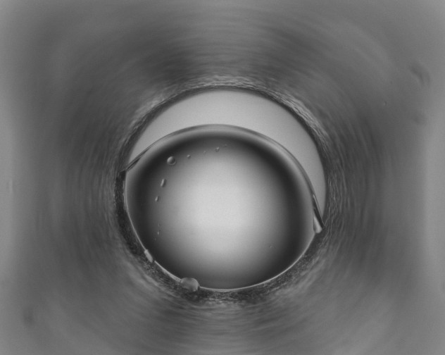 X0000111590207200907231221