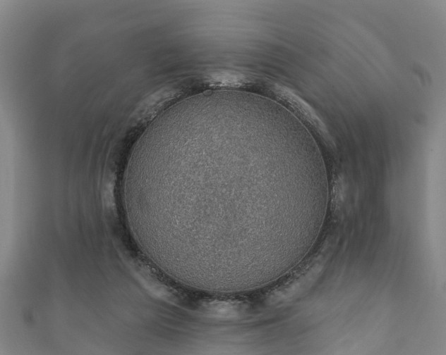 X0000111590209200907231221