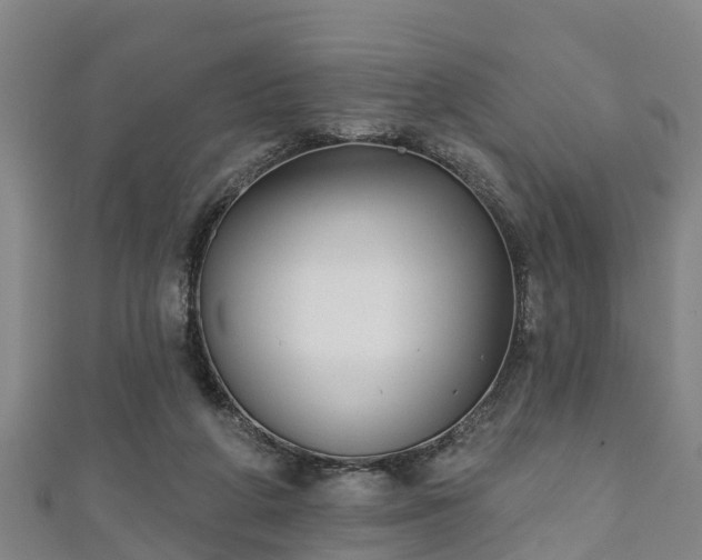 X0000111590210200907231221