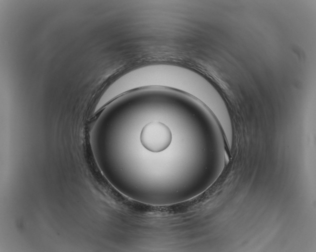 X0000111590211200907231221