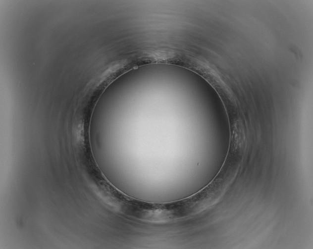 X0000111590212200907231221