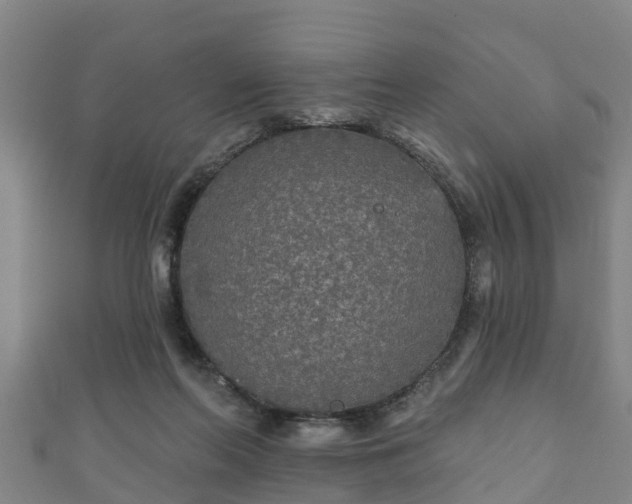 X0000111590214200907231221