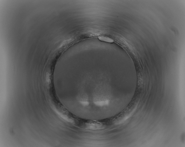 X0000111590215200907231221