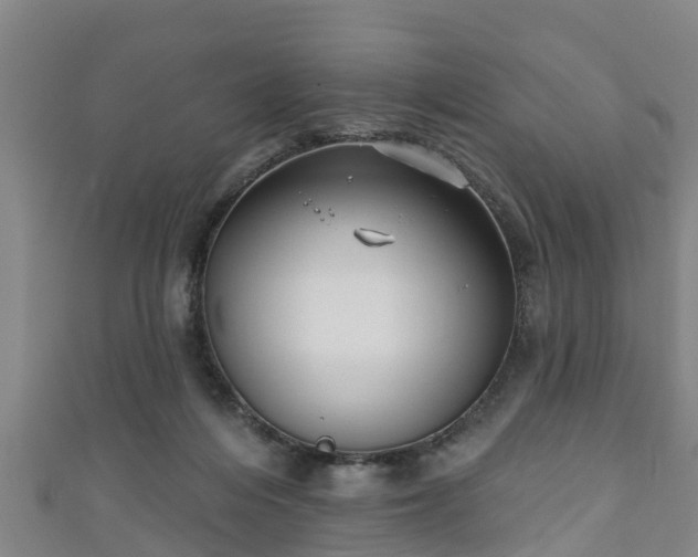 X0000111590216200907231221