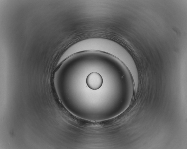 X0000111590217200907231221