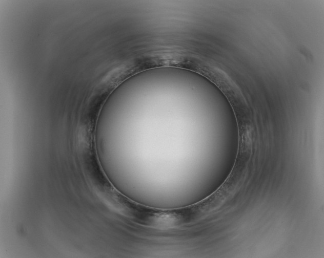 X0000111590218200907231221