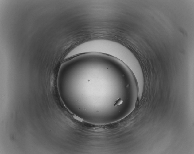 X0000111590219200907231221