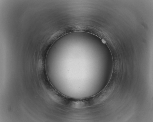 X0000111590220200907231221