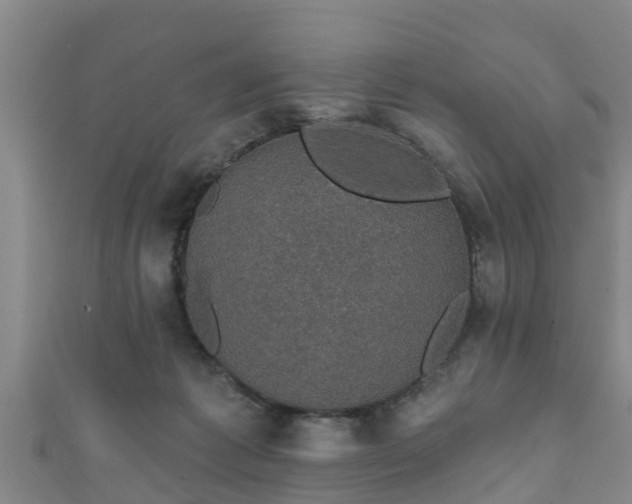 X0000111590221200907231221