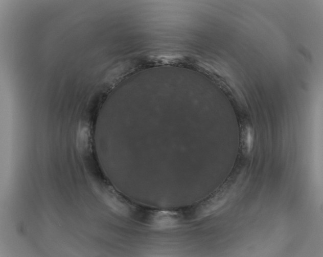 X0000111590222200907231221