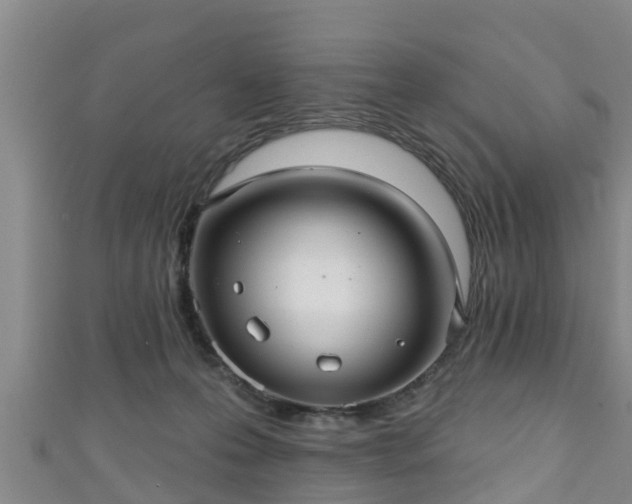 X0000111590223200907231221