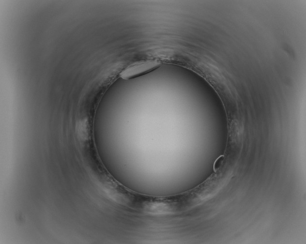 X0000111590224200907231221