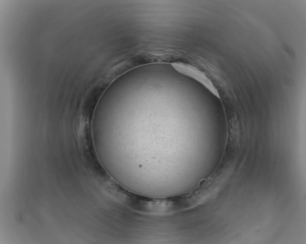 X0000111590225200907231221