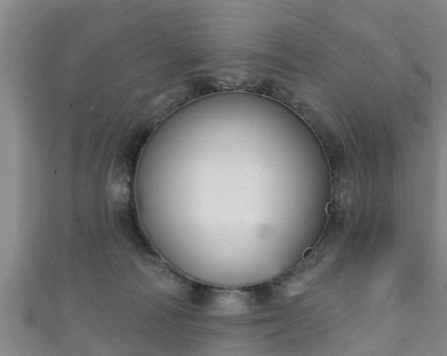 X0000111590226200907231221