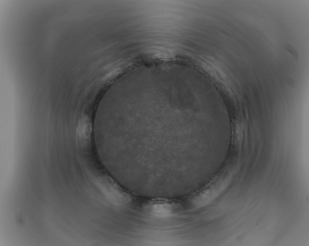 X0000111590228200907231221