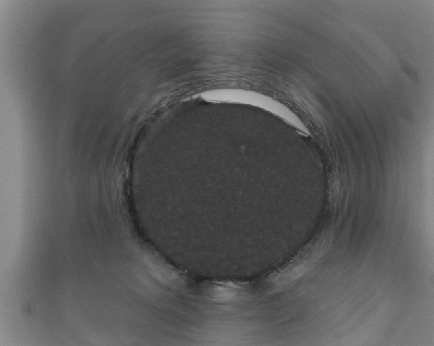 X0000111590229200907231221