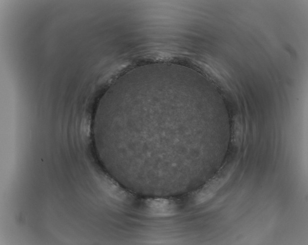 X0000111590230200907231221