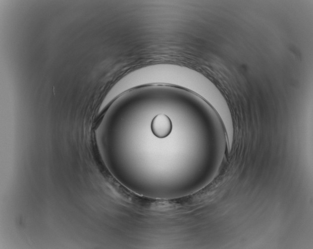 X0000111590231200907231221