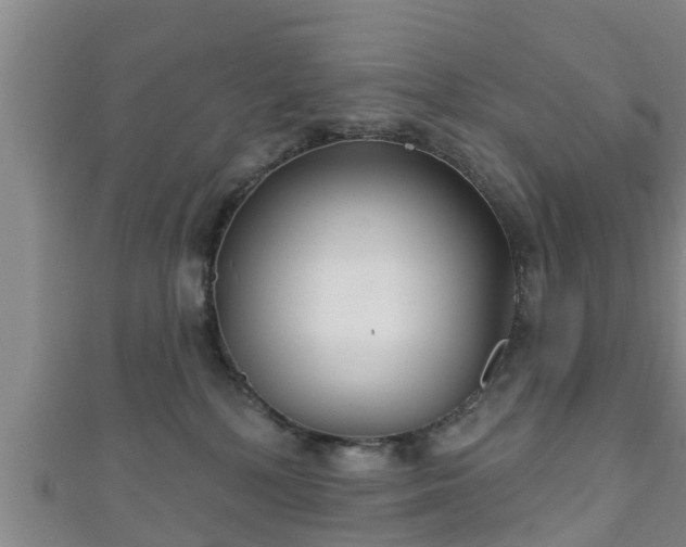 X0000111590232200907231221