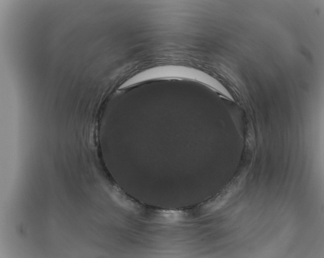 X0000111590233200907231221