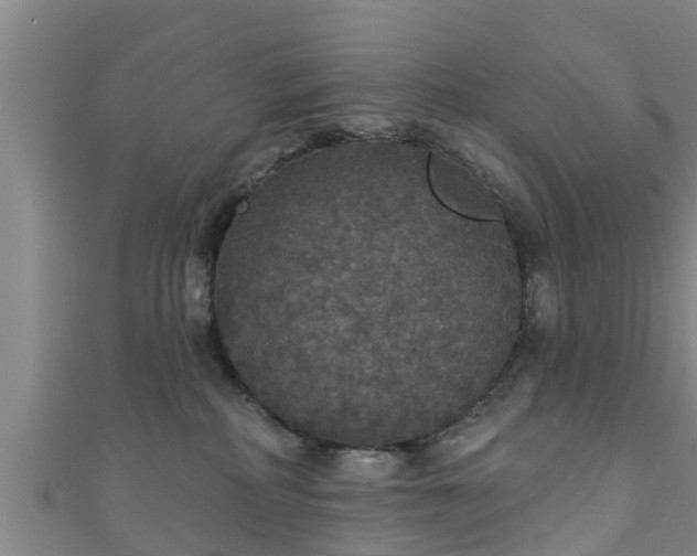 X0000111590234200907231221