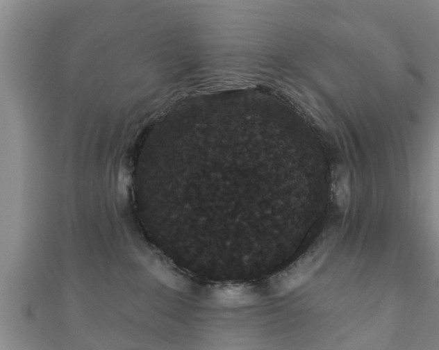 X0000111590235200907231221