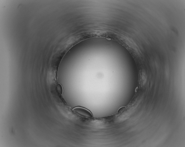 X0000111590236200907231221