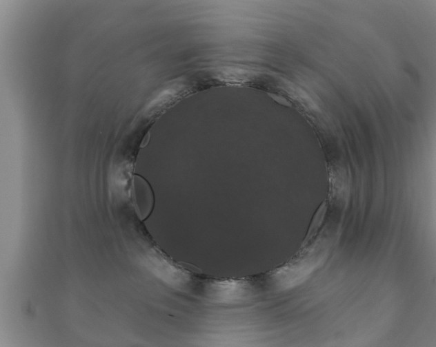 X0000111590237200907231221