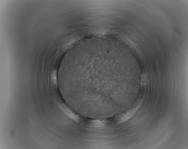 X0000111590238200907231221