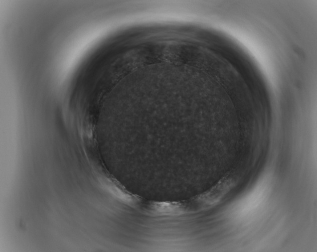 X0000111590239200907231221