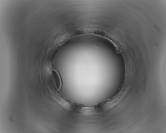 X0000111590240200907231221