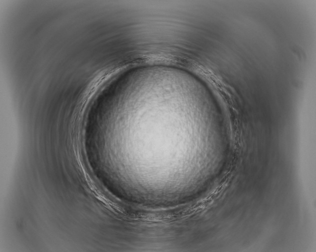 X0000111590241200907231220