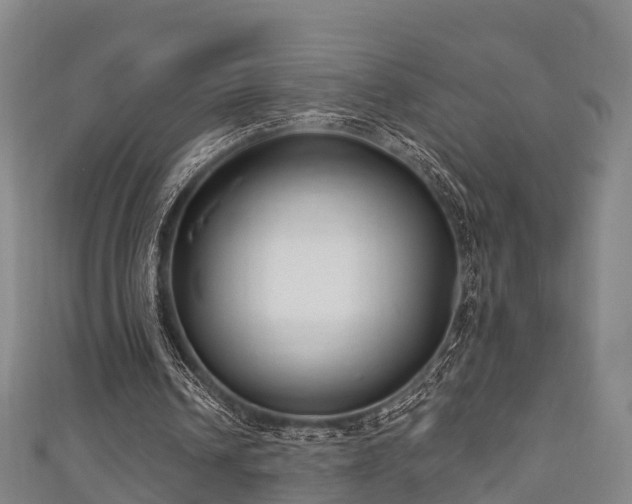 X0000111590242200907231220