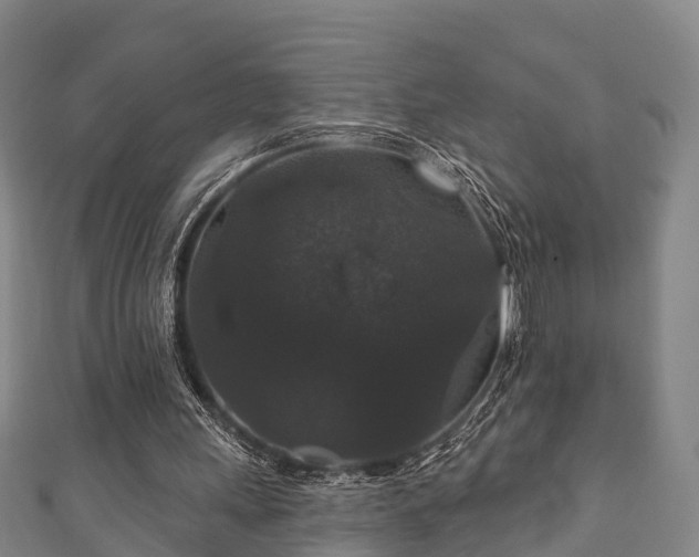 X0000111590243200907231220