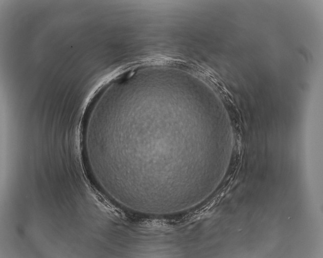 X0000111590244200907231220