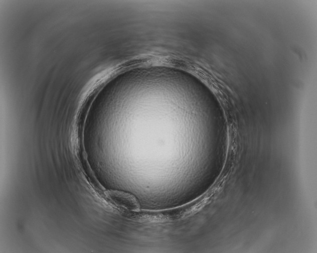 X0000111590245200907231220