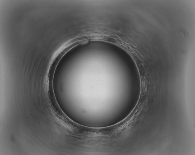 X0000111590246200907231220