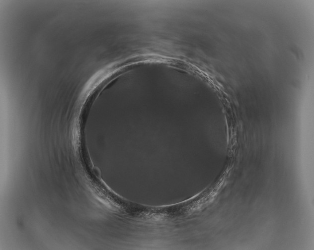 X0000111590247200907231220