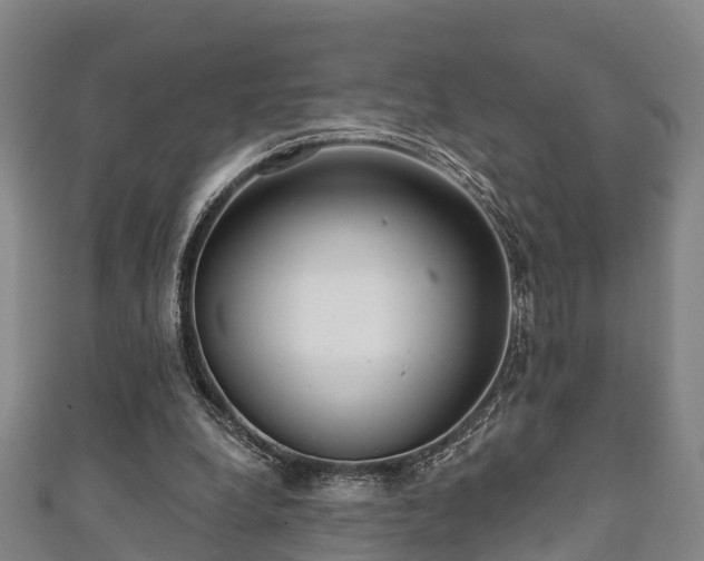 X0000111590248200907231220