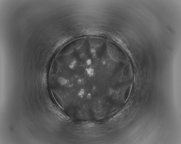 X0000111590249200907231220