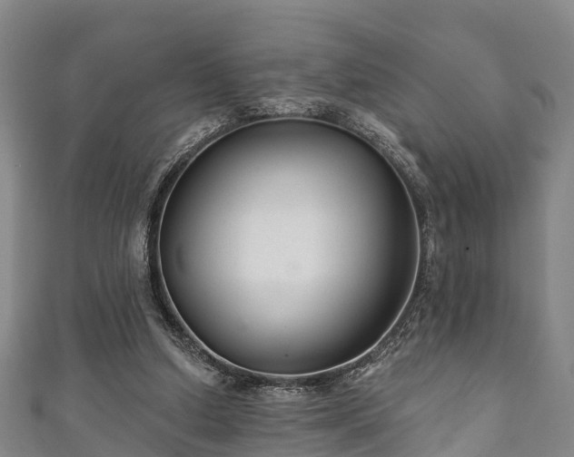 X0000111590250200907231220