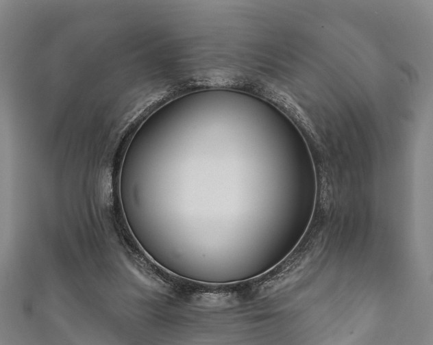 X0000111590251200907231220