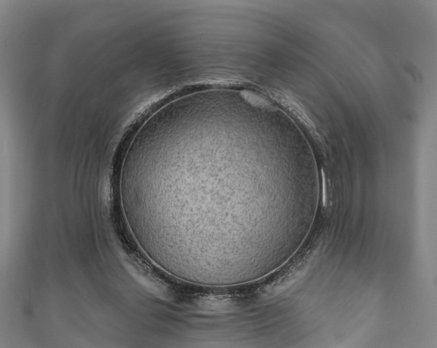 X0000111590252200907231220