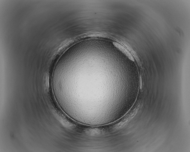 X0000111590253200907231220