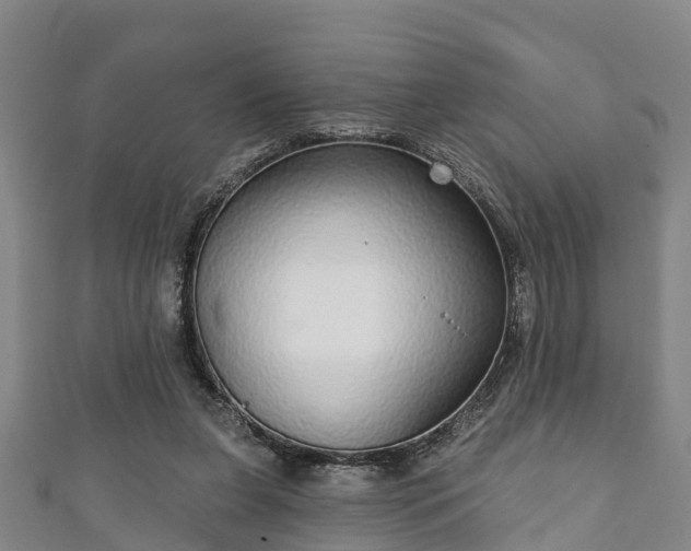 X0000111590255200907231220