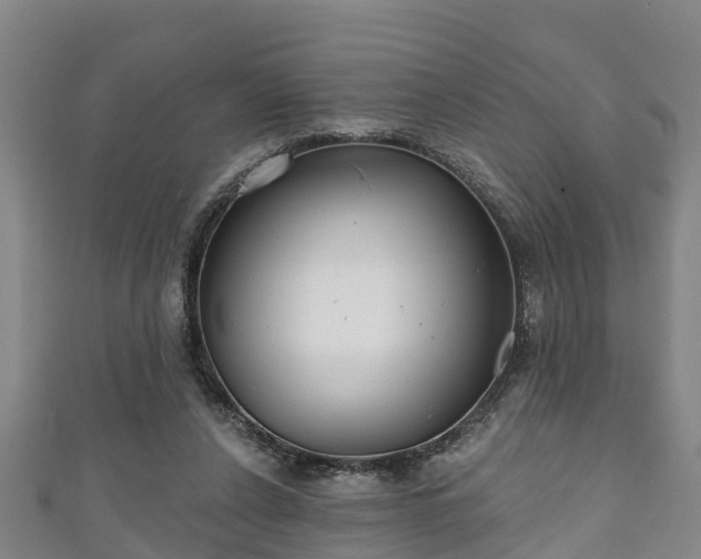 X0000111590256200907231220