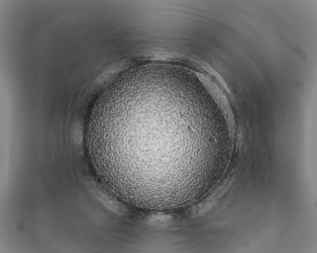 X0000111590257200907231220