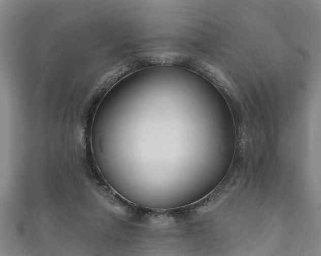 X0000111590258200907231220