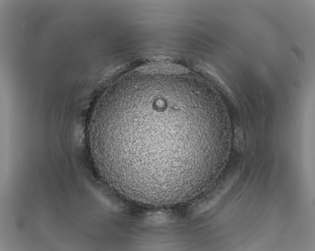 X0000111590259200907231220